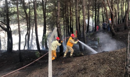 Kozanda orman yangını