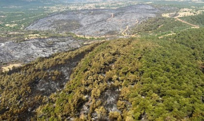 Kütahyada yanan ormanlık alanlar havadan görüntülendi