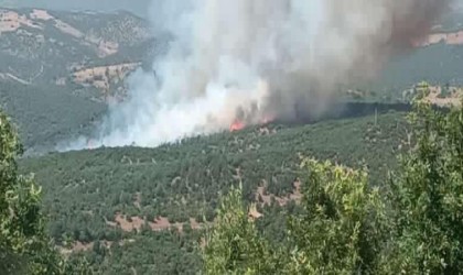 Kütahyadaki orman yangını söndürülmeye çalışılıyor