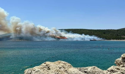 Makilik yangını mangal ateşinden çıkmış; şüpheliler adli kontrolle serbest