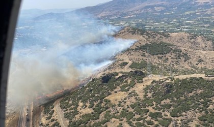 Menemende orman yangın kontrol altına alındı