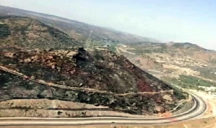 Menemen’de orman yangını (2)