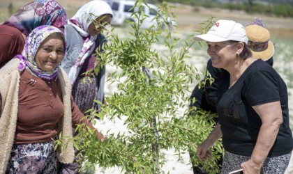 Mersin Büyükşehir Belediyesinin tarımsal üretime desteği sürüyor