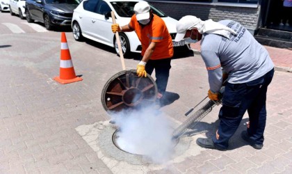 Mersinde 160 bin noktada düzenli ilaçlama yapılıyor