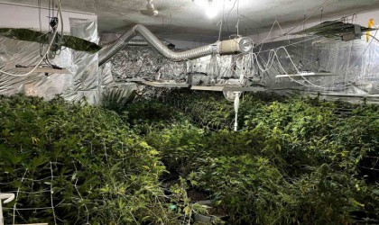 Mersinde bahçesinde uyuşturucu yetiştiren bir şüpheli yakalandı