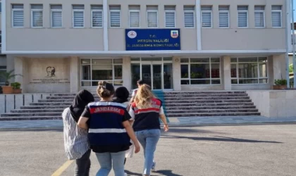 Mersin’de DEAŞ operasyonu: 2 gözaltı