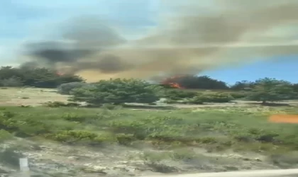 Mersin’de orman yangını