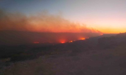 Mersinde orman yangını devam ediyor, iki köyün tedbir amaçlı tahliyesi planlanıyor