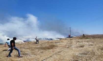 Mersinde tarım arazisinde çıkan yangın söndürüldü