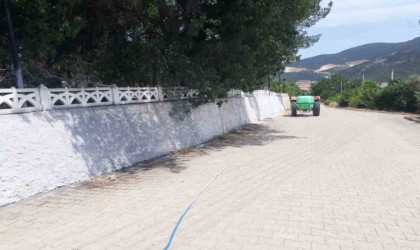 Mezarlık duvarları beyaza boyandı