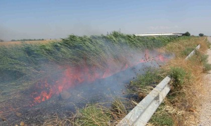 Mısır tarlasındaki yangın büyümeden söndürüldü