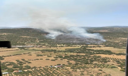 Ödemiş’te orman yangını