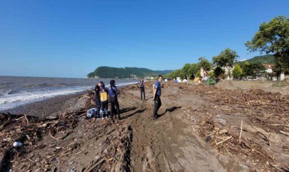 Odun toplamak için gittiği sahilde cansız bedeni bulundu