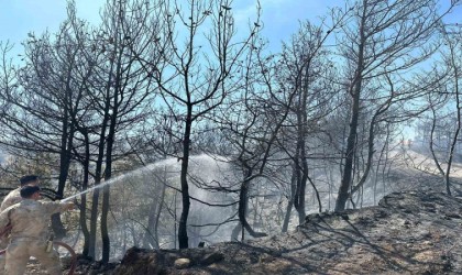 Orman yangınına jandarma desteği