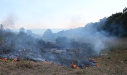 Orman yangınlarına anında müdahale