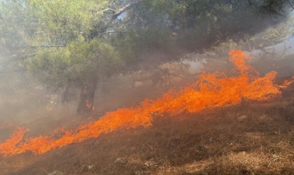 Ormana sıçrayan yangın 3 saatte kontrol altına alındı
