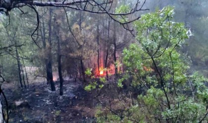 Osmanelinde çıkan orman yangını kontrol altına alındı