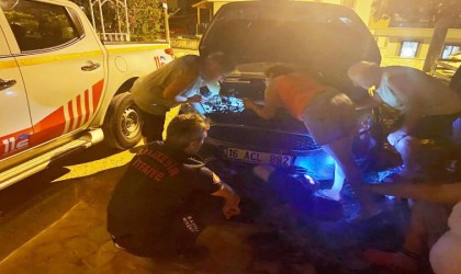 Otomobil kaputunda mahsur kalan kedi için seferber oldular