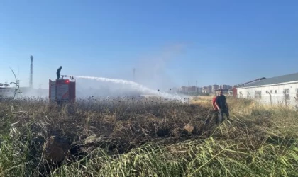 Polis fark etti, 50 dönümlük buğday ekili arazinin yanması önlendi