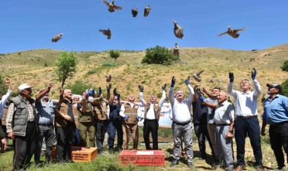 Salihlide 450 kınalı keklik doğaya salındı