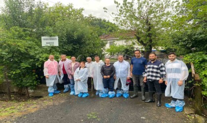 Samsunda fındık rekolte tespit çalışmaları tamamlandı