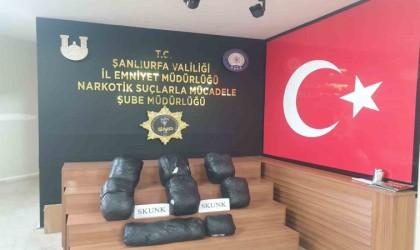 Şanlıurfada 32 kilo 660 gram skunk ele geçirildi: 4 gözaltı