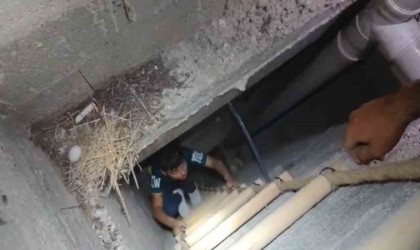 Şanlıurfada havalandırma boşluğuna düşen çocuk kurtarıldı