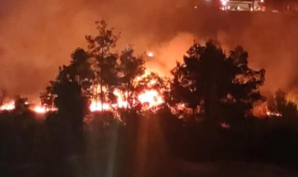 Şanlıurfa’da, piknik alanında korkutan anız yangını