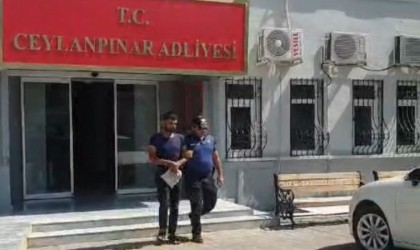 Şanlıurfada suç makinesi mahalle bekçilerinden kaçamadı