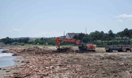 Selde sahile sürüklenen odunlar enerji olacak