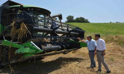 Selendide arpa ve buğday hasadı başladı