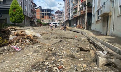 Selin tahrip ettiği Devrekte temizlik çalışmaları sürüyor