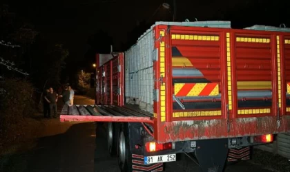 Seyir halindeki kamyonun açılan dorse kapağının çarpmasıyla öldü