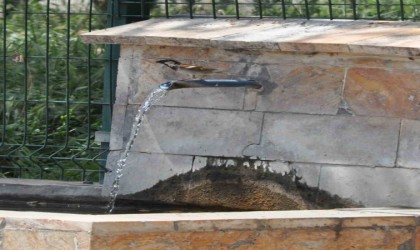 Sıcaktan bunalan kuşlar çeşmede serinledi