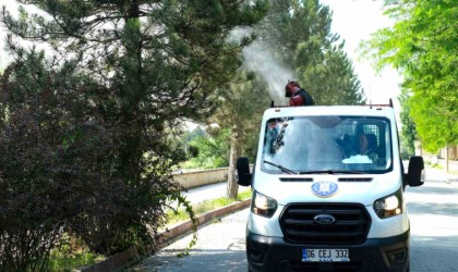 Sinek ve haşere ile mücadele