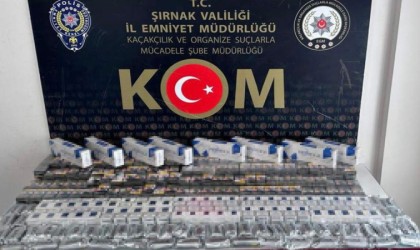 Şırnakta asayiş ve kaçakçılık operasyonu: 51 gözaltı