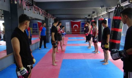 Tatvanda ringlerin yıldızları yetişiyor