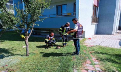 Tavşanlıda alev alan mutfak tüpü paniğe sebep oldu
