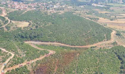 Valilik uyardı: Manisada sıcak havayla birlikte orman yangın riski de artacak