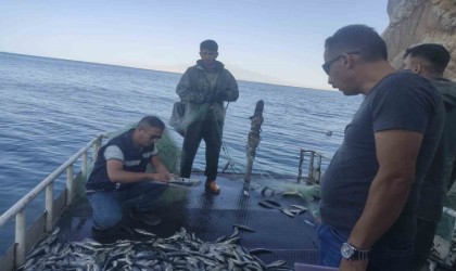 Vandaki balıkçı barınaklarında inci kefali denetimi
