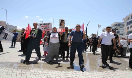 Vanlı ailelerin evlat nöbeti 60ncı haftasına girdi