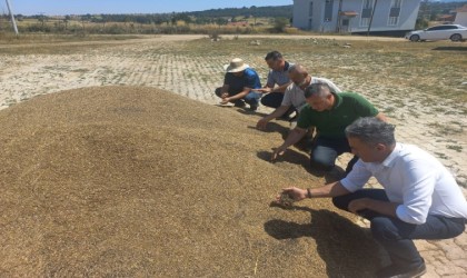 Verim bu yıl dönümünde 300 kilo arttı