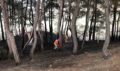 Yangın söndürüldü, vatandaş piknikçilere tepki gösterdi