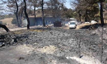 Yangından etkilenen köylüler yaşadıklarını anlattı