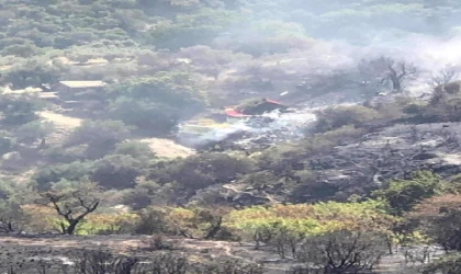 Yunanistan’da yangın söndürme uçağı düştü