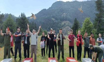 Yüzlerce Keklik doğaya salındı