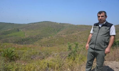 44 saatte söndürülen orman yangınında zarar gören alan, 40 yılda eski haline dönecek