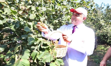 632 bin hektar alanda üretimi yapılıyor