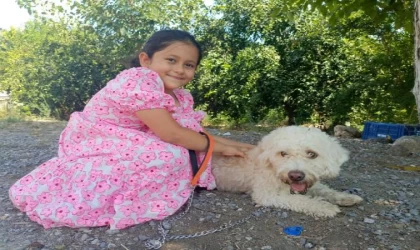7 yaşındaki Hifa’nın çalınan köpeği ’Çıtır’, bulundu