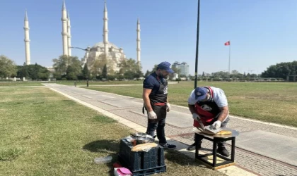Adana’da hissedilen sıcaklık 50 dereceyi aştı: Güneşte tost pişti
